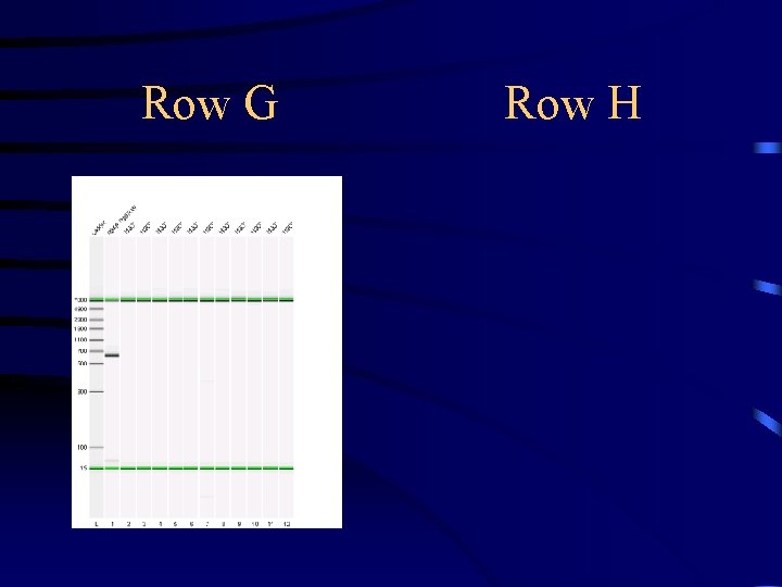 Row G Row H 