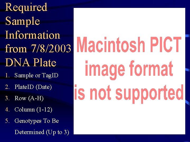 Required Sample Information from 7/8/2003 DNA Plate 1. Sample or Tag. ID 2. Plate.