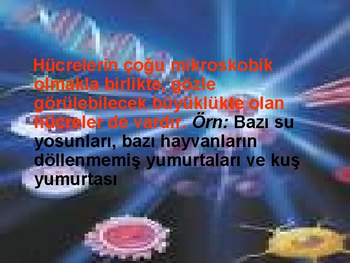 Hücrelerin çoğu mikroskobik olmakla birlikte, gözle görülebilecek büyüklükte olan hücreler de vardır. Örn: Bazı