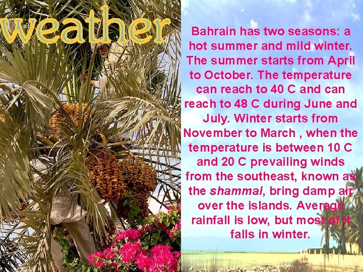 Bahrain has two seasons: a hot summer and mild winter. The summer starts from