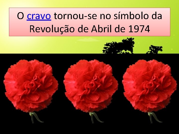 O cravo tornou-se no símbolo da Revolução de Abril de 1974 