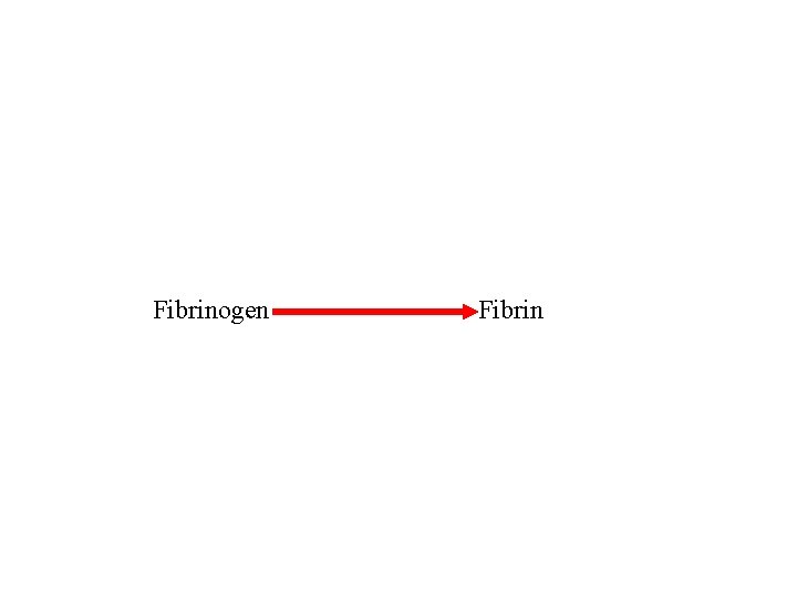 Fibrinogen Fibrin 