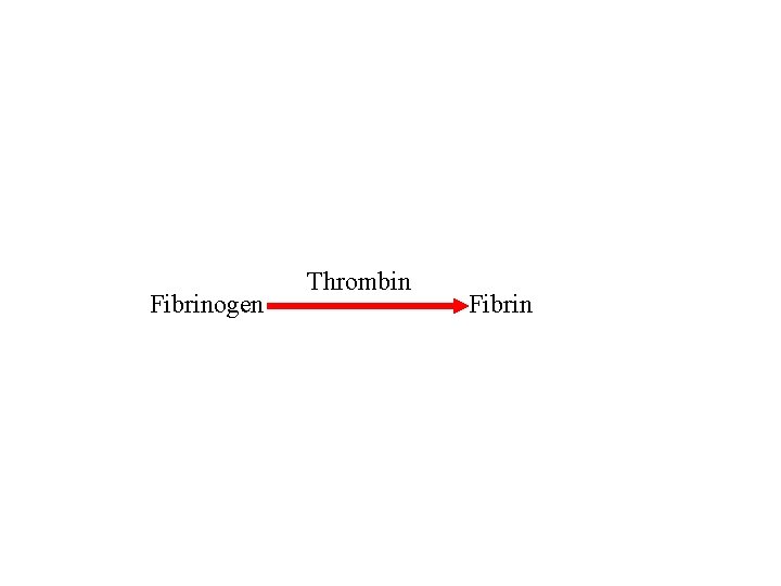 Fibrinogen Thrombin Fibrin 