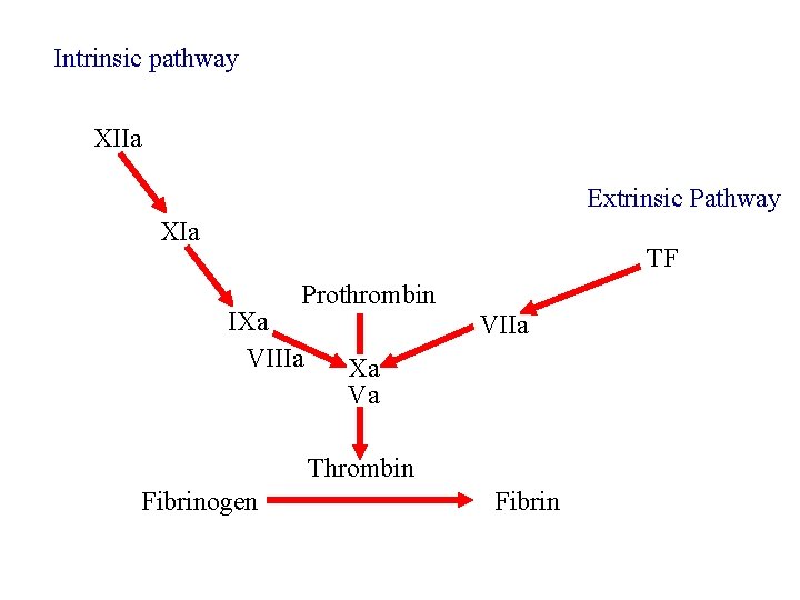 Intrinsic pathway XIIa Extrinsic Pathway XIa TF Prothrombin IXa VIIIa VIIa Xa Va Thrombin