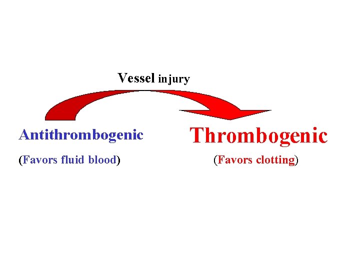 Vessel injury Antithrombogenic (Favors fluid blood) Thrombogenic (Favors clotting) 