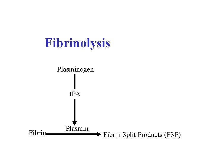 Fibrinolysis Plasminogen t. PA Fibrin Plasmin Fibrin Split Products (FSP) 