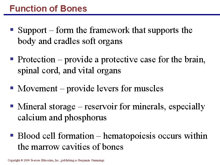 Function of Bones § Support – form the framework that supports the body and