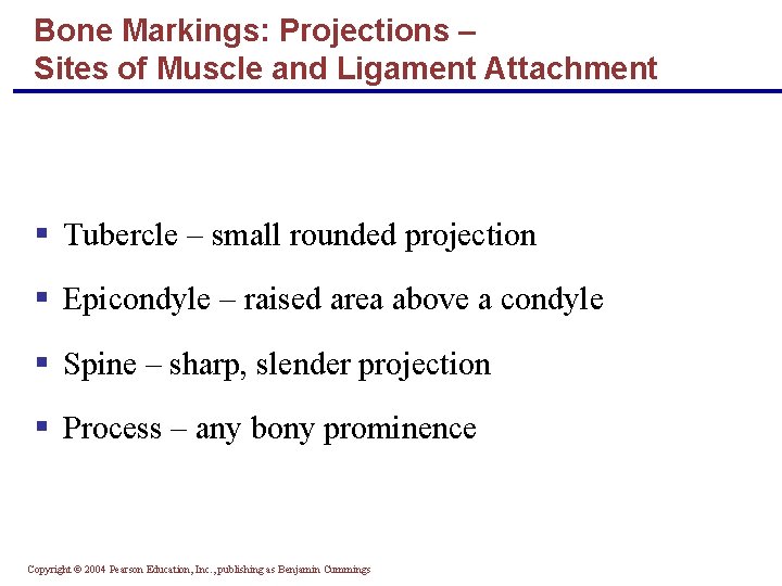 Bone Markings: Projections – Sites of Muscle and Ligament Attachment § Tubercle – small