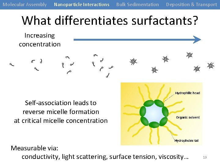 Molecular Assembly Nanoparticle Interactions Bulk Sedimentation Deposition & Transport What differentiates surfactants? Increasing concentration