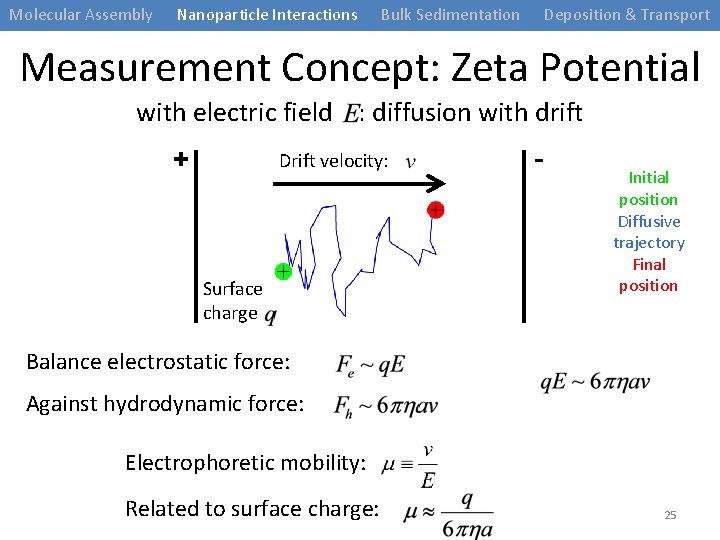 Molecular Assembly Nanoparticle Interactions Bulk Sedimentation Deposition & Transport Measurement Concept: Zeta Potential with