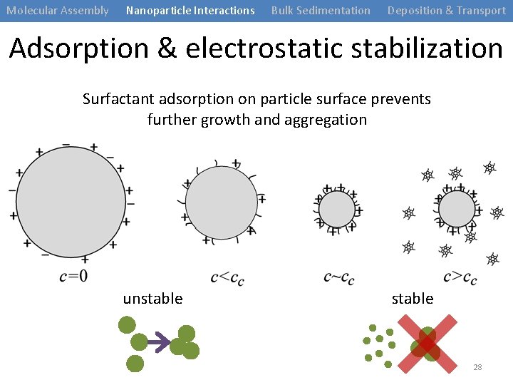 Molecular Assembly Nanoparticle Interactions Bulk Sedimentation Deposition & Transport Adsorption & electrostatic stabilization Surfactant