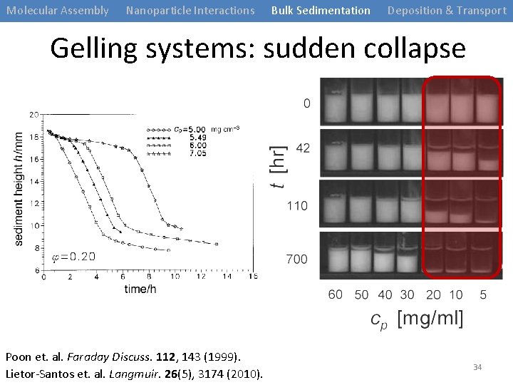 Molecular Assembly Nanoparticle Interactions Bulk Sedimentation Deposition & Transport Gelling systems: sudden collapse Poon