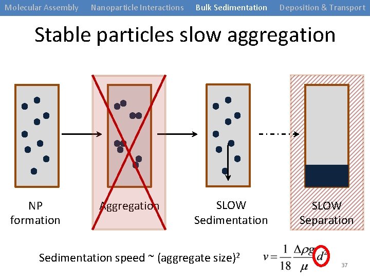Molecular Assembly Nanoparticle Interactions Bulk Sedimentation Deposition & Transport Stable particles slow aggregation NP