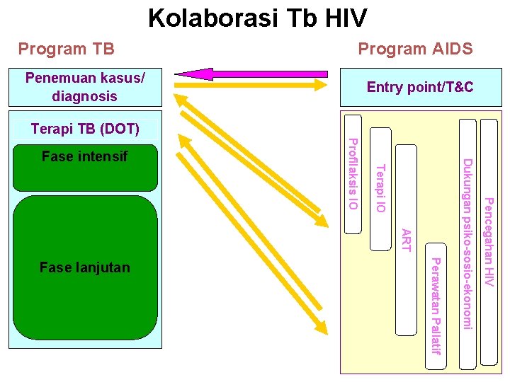 Kolaborasi Tb HIV Program TB Program AIDS Penemuan kasus/ diagnosis Entry point/T&C Terapi TB