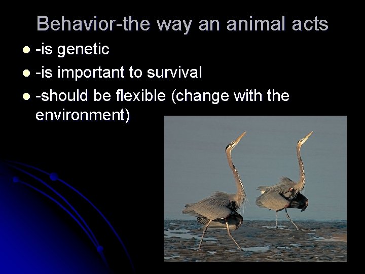 Behavior-the way an animal acts -is genetic l -is important to survival l -should