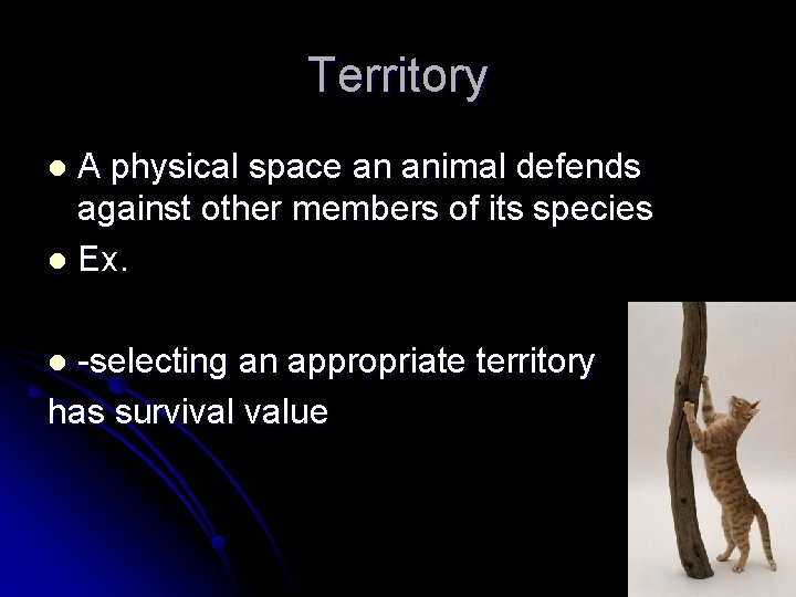 Territory A physical space an animal defends against other members of its species l