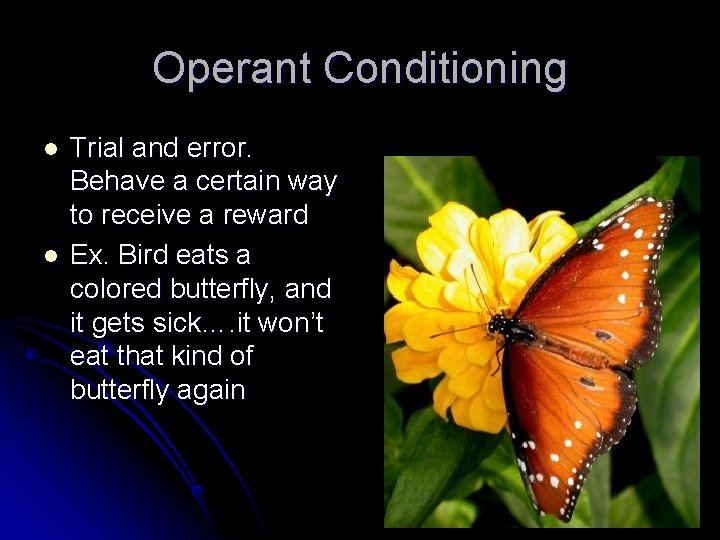 Operant Conditioning l l Trial and error. Behave a certain way to receive a