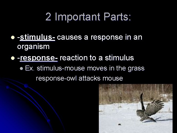 2 Important Parts: -stimulus- causes a response in an organism l -response- reaction to