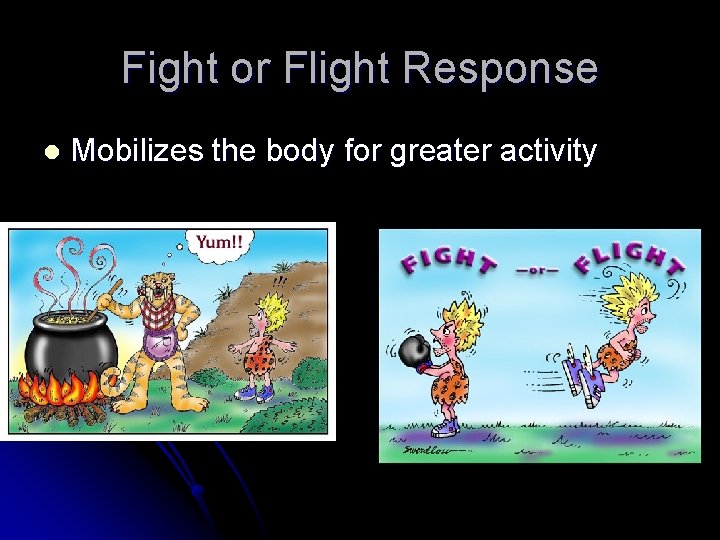 Fight or Flight Response l Mobilizes the body for greater activity 