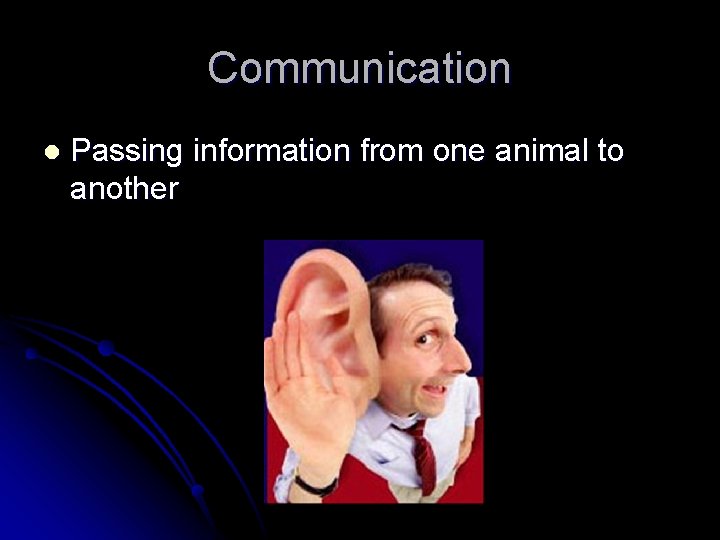 Communication l Passing information from one animal to another 