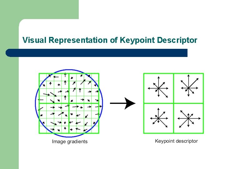 Visual Representation of Keypoint Descriptor 