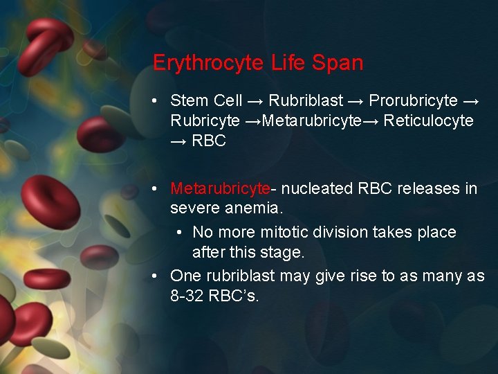 Erythrocyte Life Span • Stem Cell → Rubriblast → Prorubricyte → Rubricyte →Metarubricyte→ Reticulocyte