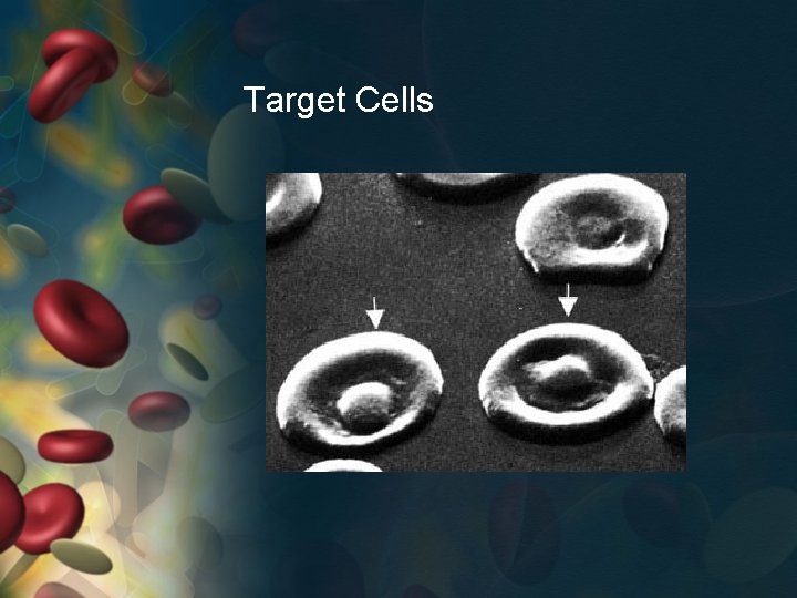 Target Cells 