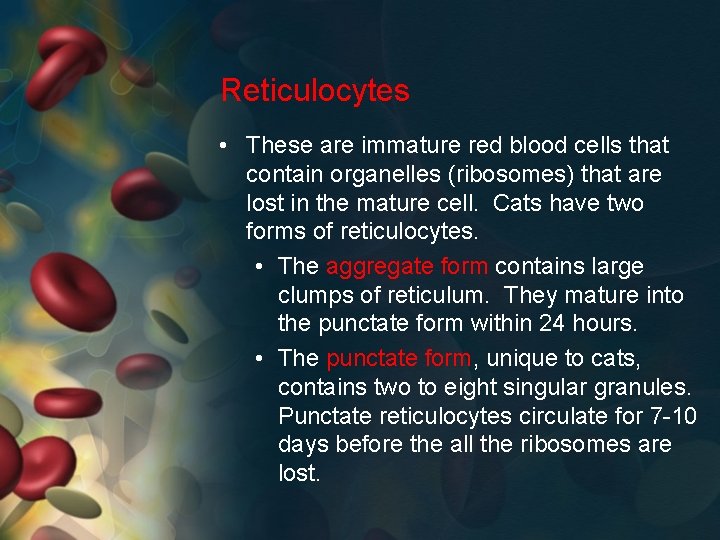 Reticulocytes • These are immature red blood cells that contain organelles (ribosomes) that are