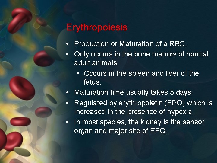 Erythropoiesis • Production or Maturation of a RBC. • Only occurs in the bone