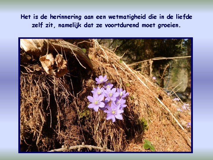 Het is de herinnering aan een wetmatigheid die in de liefde zelf zit, namelijk