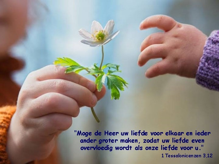 "Moge de Heer uw liefde voor elkaar en ieder ander groter maken, zodat uw