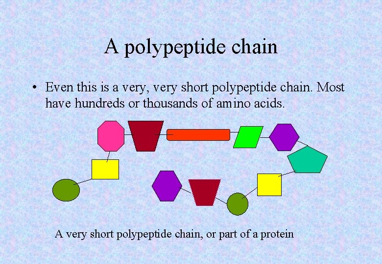 A polypeptide chain • Even this is a very, very short polypeptide chain. Most