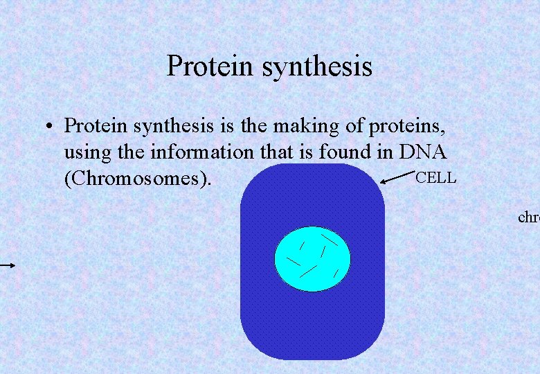 Protein synthesis • Protein synthesis is the making of proteins, using the information that