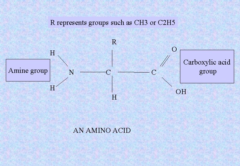 R represents groups such as CH 3 or C 2 H 5 R O