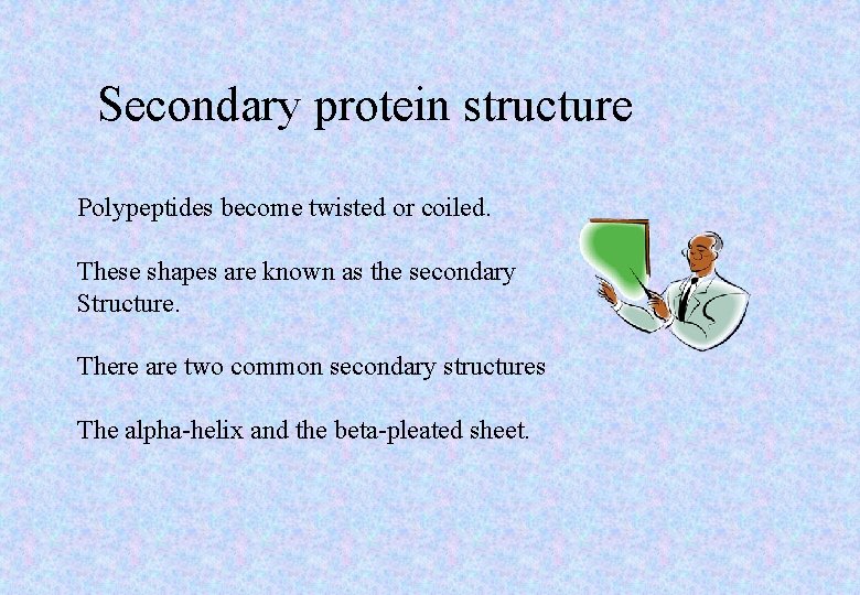 Secondary protein structure Polypeptides become twisted or coiled. These shapes are known as the