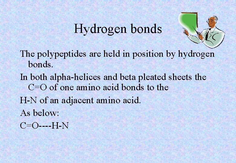 Hydrogen bonds The polypeptides are held in position by hydrogen bonds. In both alpha-helices