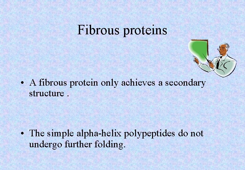 Fibrous proteins • A fibrous protein only achieves a secondary structure. • The simple