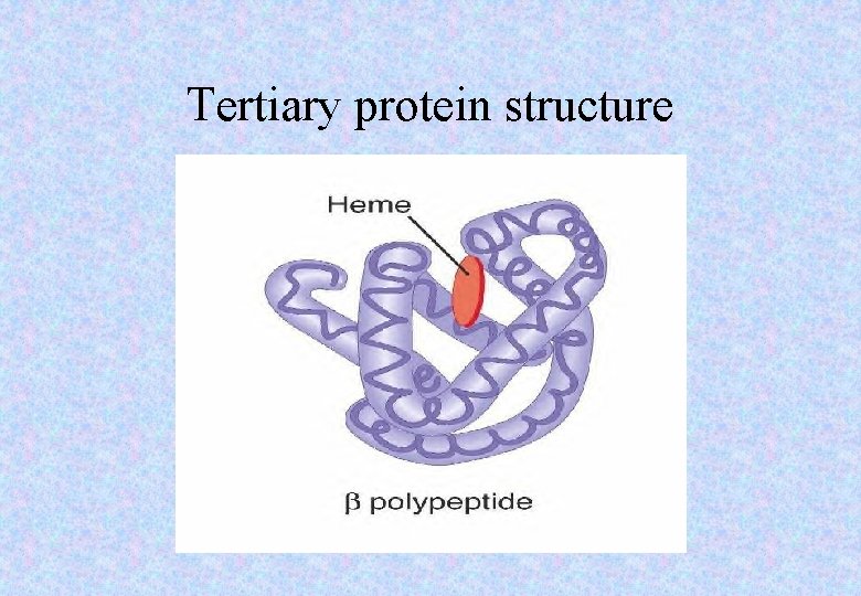 Tertiary protein structure 
