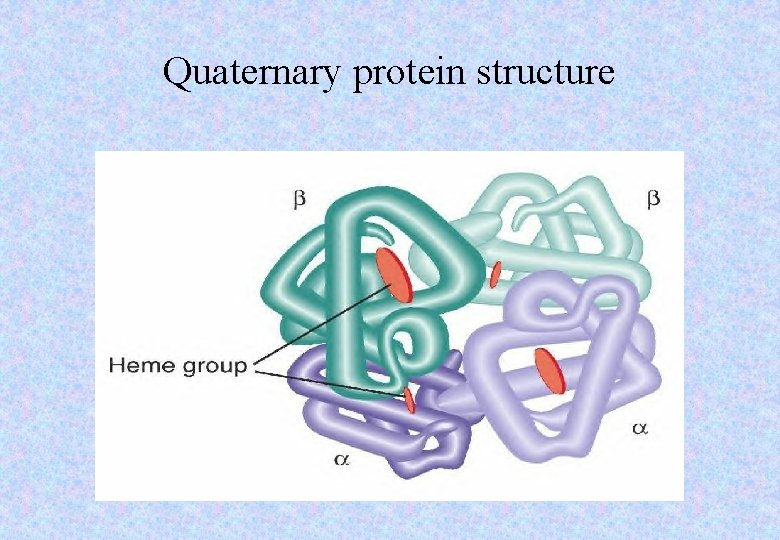 Quaternary protein structure 