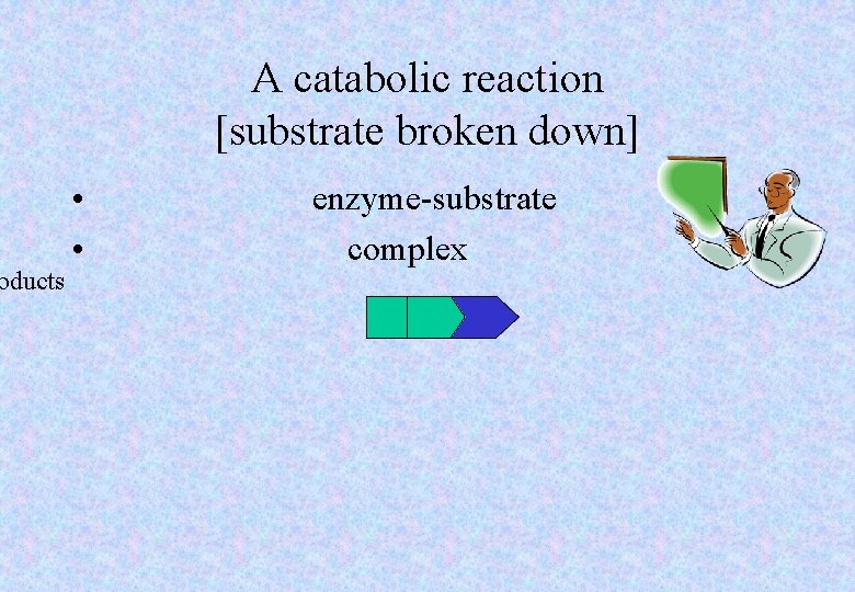 oducts A catabolic reaction [substrate broken down] • • enzyme-substrate complex 