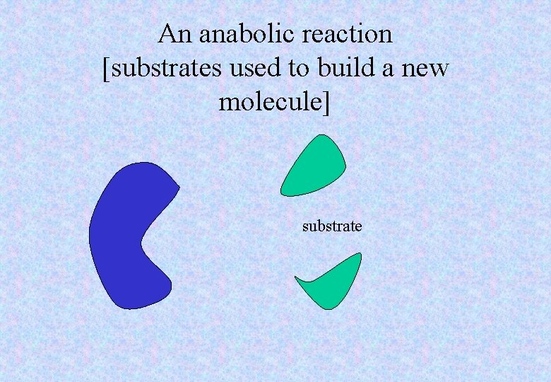 An anabolic reaction [substrates used to build a new molecule] substrate 
