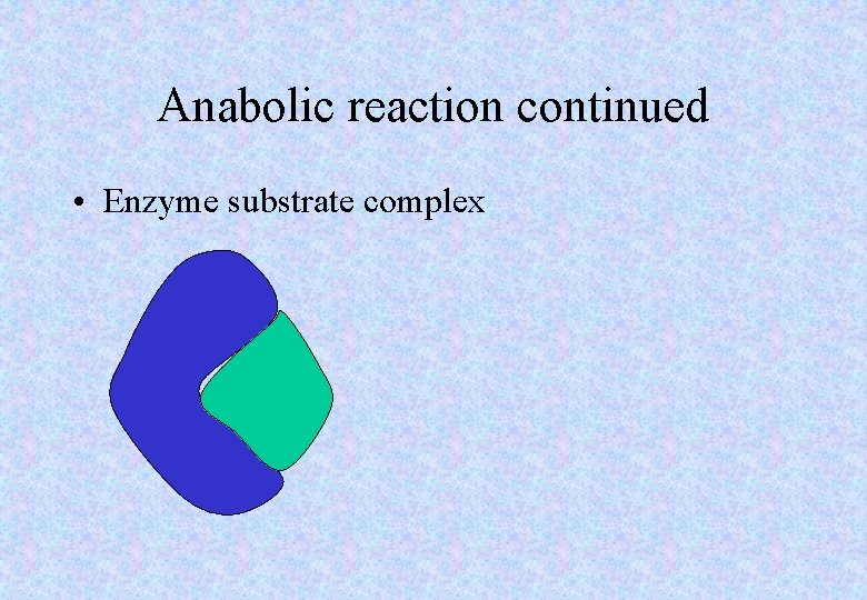 Anabolic reaction continued • Enzyme substrate complex 