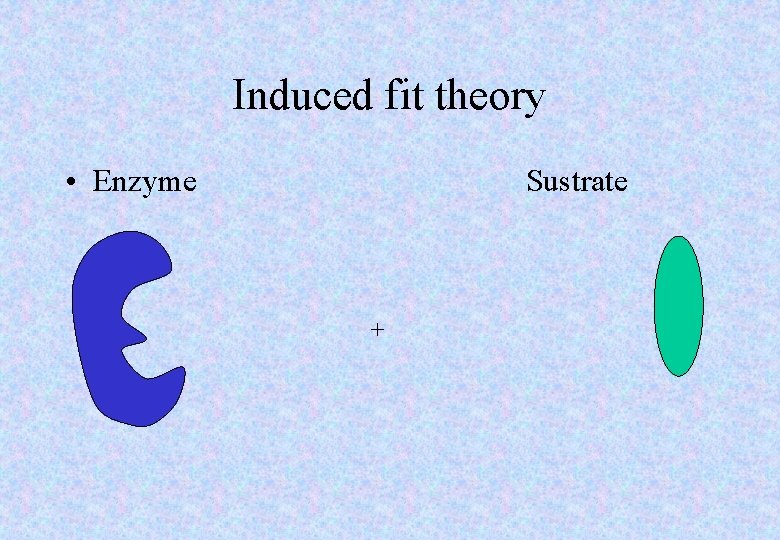 Induced fit theory • Enzyme Sustrate + 
