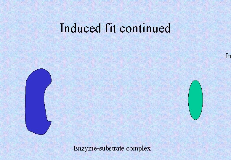 Induced fit continued In Enzyme-substrate complex 