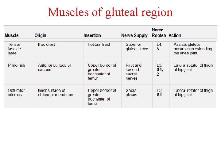 Muscles of gluteal region 