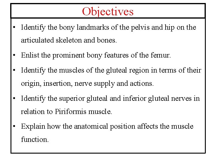 Objectives • Identify the bony landmarks of the pelvis and hip on the articulated