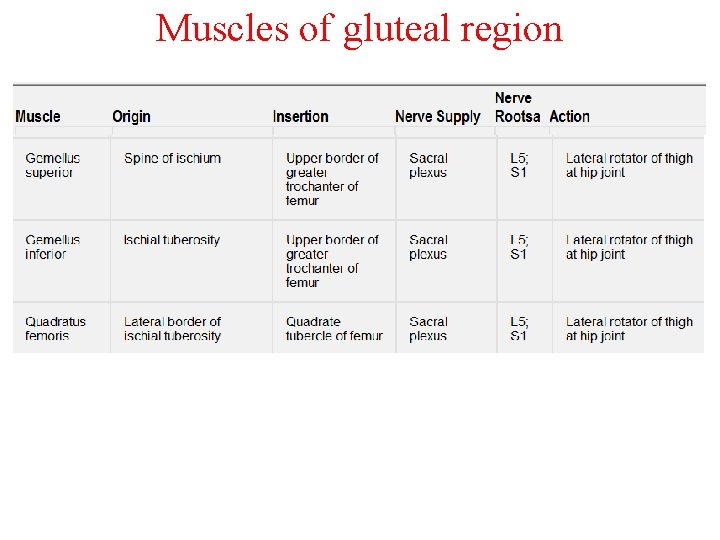 Muscles of gluteal region 
