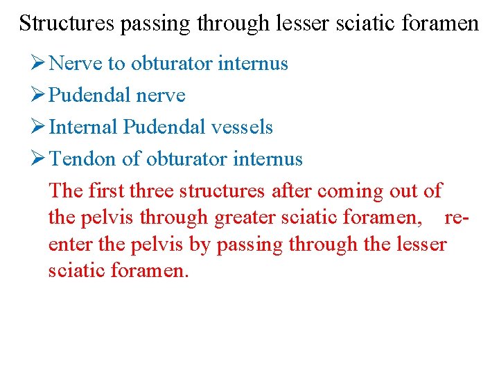 Structures passing through lesser sciatic foramen Ø Nerve to obturator internus Ø Pudendal nerve