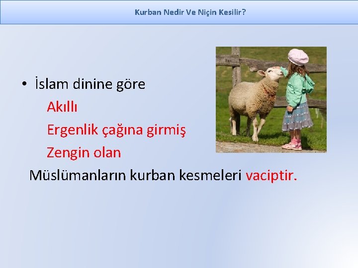 Kurban Nedir Ve Niçin Kesilir? • İslam dinine göre Akıllı Ergenlik çağına girmiş Zengin