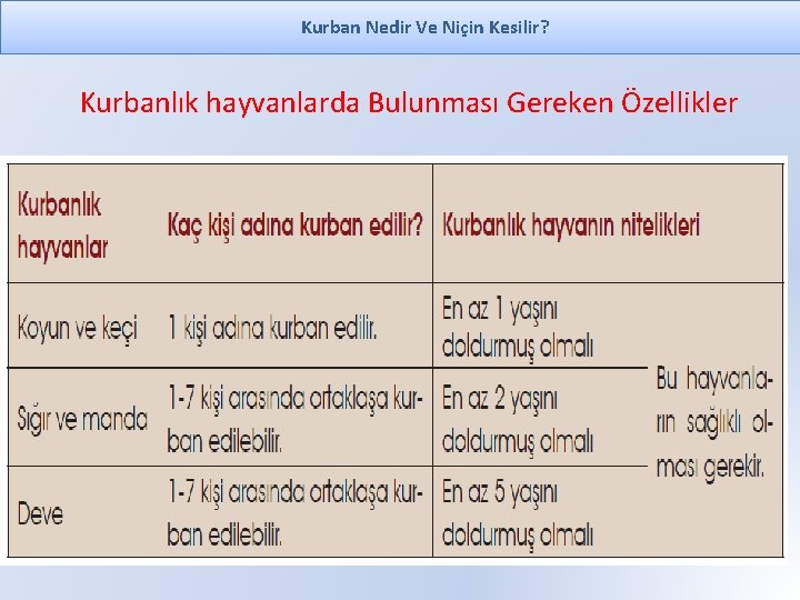 Kurban Nedir Ve Niçin Kesilir? Kurbanlık hayvanlarda Bulunması Gereken Özellikler 